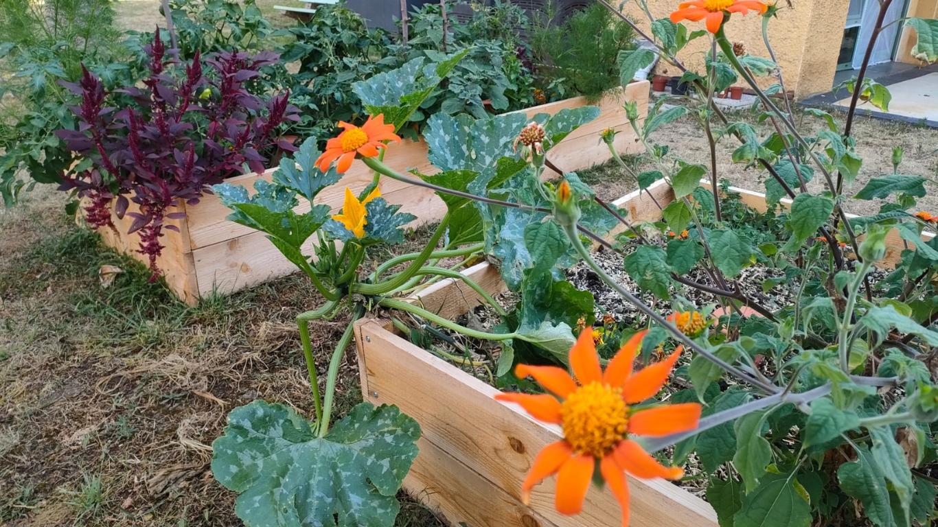 EHPAD les Ramondias, Luz Saint Sauveur