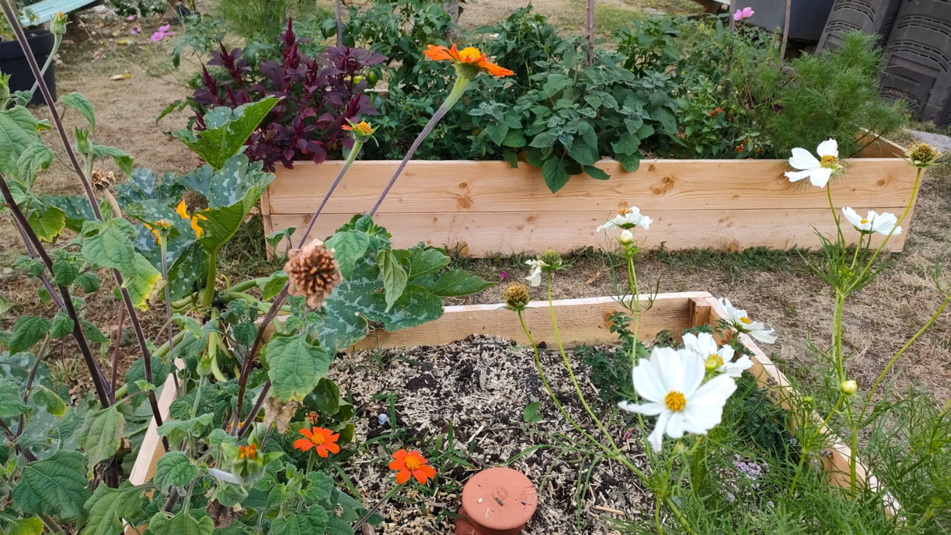 EHPAD les Ramondias, Luz Saint Sauveur