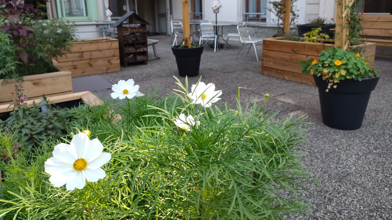 EHPAD les Ramondias, Luz Saint Sauveur