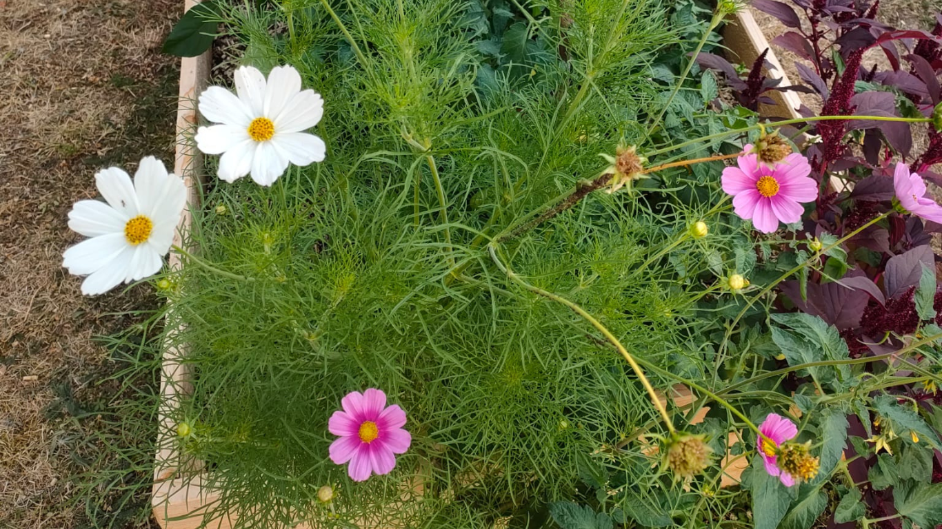 EHPAD les Ramondias, Luz Saint Sauveur